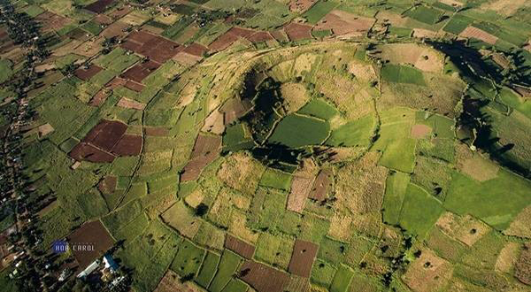 Dịch Thuật gia lai